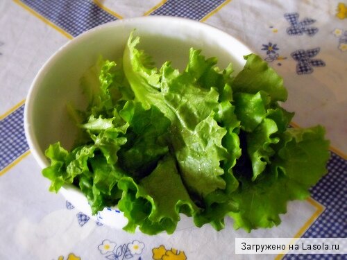 диета как хобби