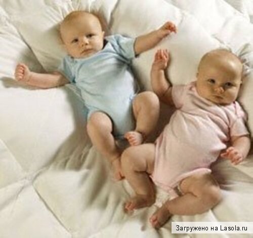 почему рождаются близнецы?