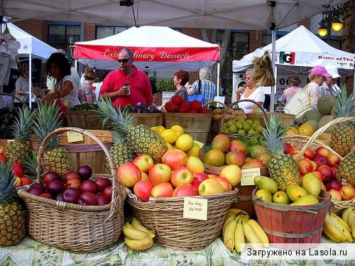 полезные свойства фруктов