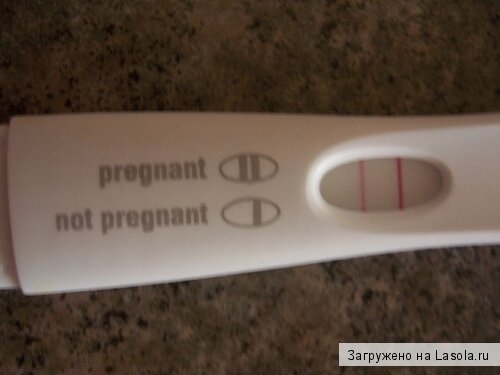как правильно сообщить о беременности